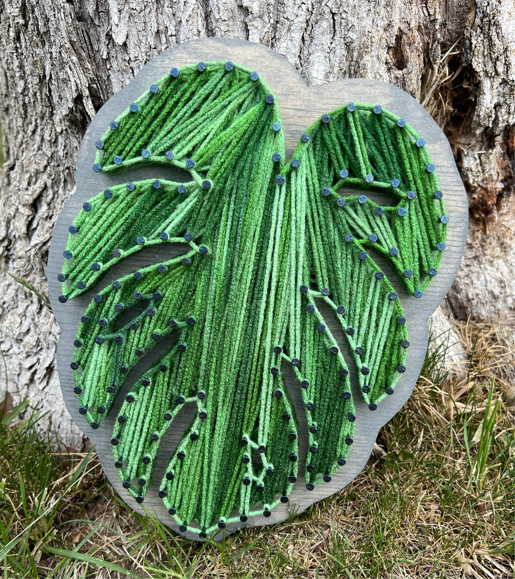 Readymade Cutout Monstera Leaf String Art